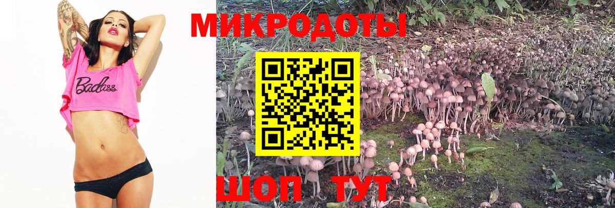 Борисоглебск  Псилоцибиновые грибы MAGIC MUSHROOMS  Вход с VPN 